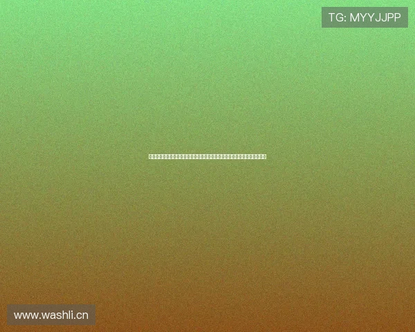 黑白频道足球网：解析最新赛事动态与足球热点资讯，全面跟踪全球足坛新闻